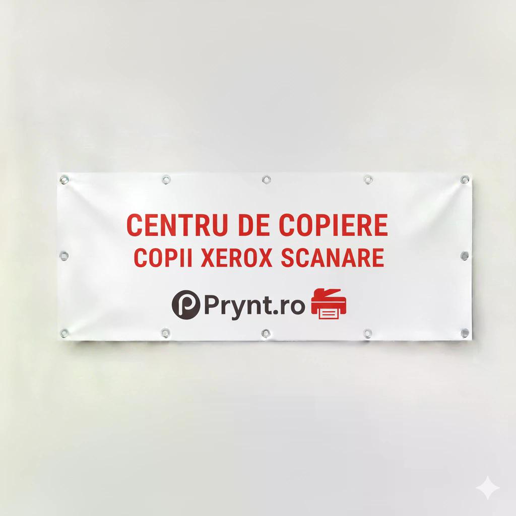 Banner Centru De Copiere